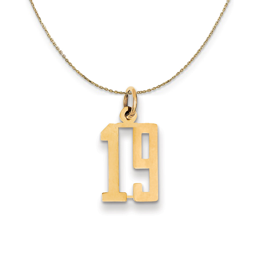 14k Yellow Gold, Alumni Small Elongated Number 19 Necklace, Item N24647 by The Black Bow Jewelry Co.