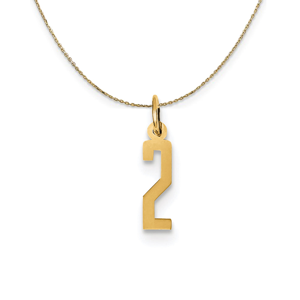 14k Yellow Gold, Alumni Small Elongated Number 2 Necklace, Item N24648 by The Black Bow Jewelry Co.