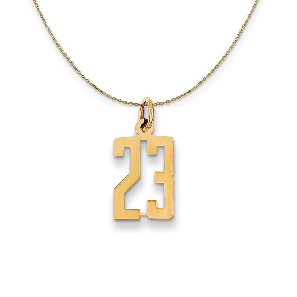 14k Yellow Gold, Alumni Small Elongated Number 23 Necklace, Item N24652 by The Black Bow Jewelry Co.