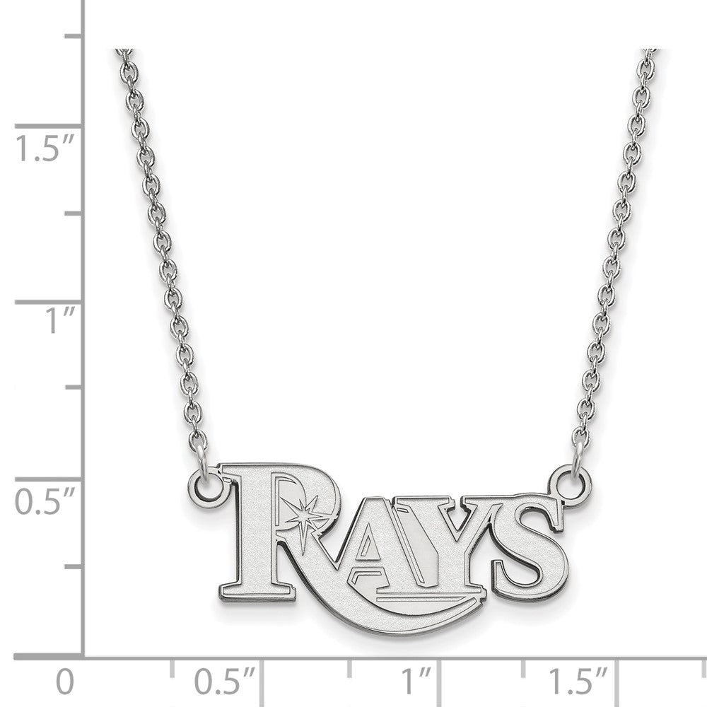 Alternate view of the 14K White Gold MLB Tampa Bay Rays Small Script Necklace, 18 Inch by The Black Bow Jewelry Co.