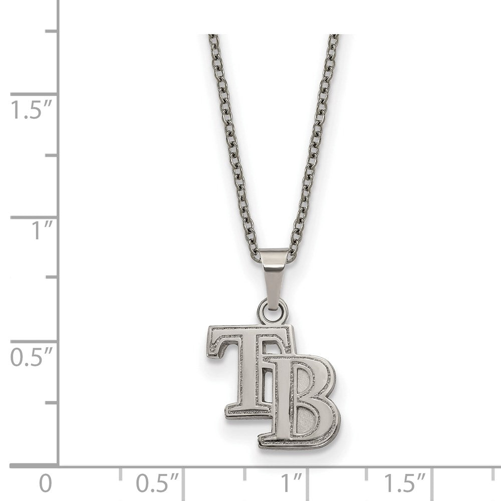 Alternate view of the Stainless Steel MLB Tampa Bay Rays Small Necklace, 18-20 Inch by The Black Bow Jewelry Co.