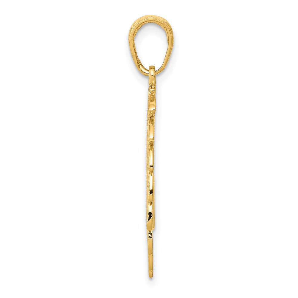 Alternate view of the 14k Yellow Gold Cut-Out Headdress Polished Pendant by The Black Bow Jewelry Co.