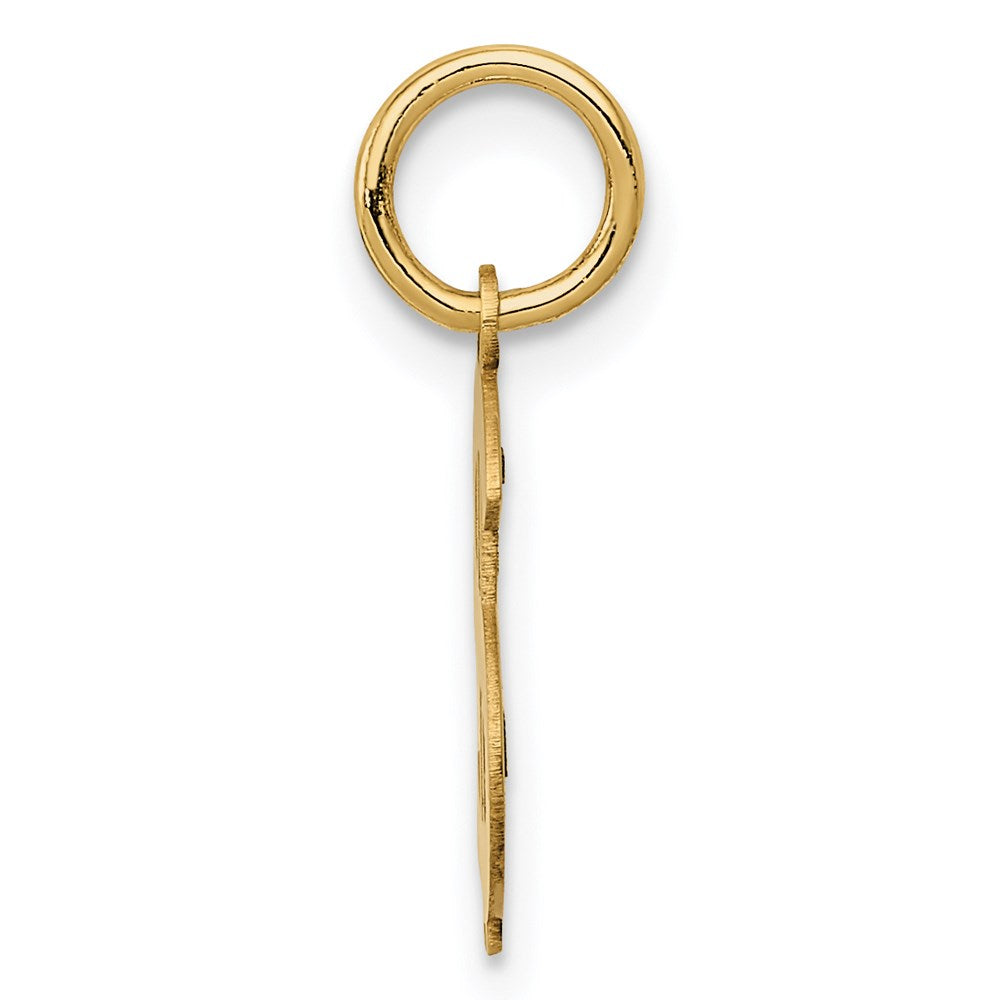 Alternate view of the 14k Yellow Gold Small Polished Dollar Sign Charm by The Black Bow Jewelry Co.