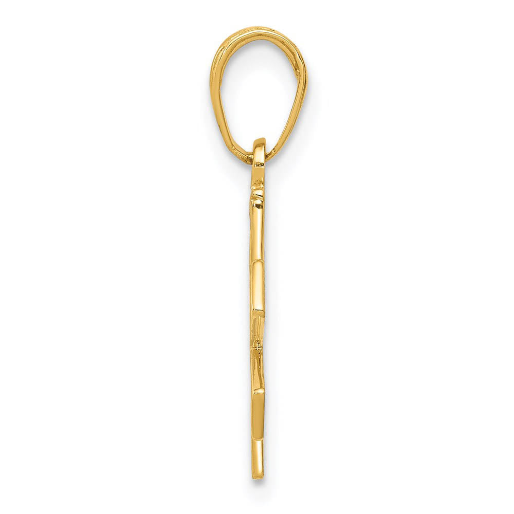 Alternate view of the 14k Yellow Gold Medical Symbol Pendant by The Black Bow Jewelry Co.