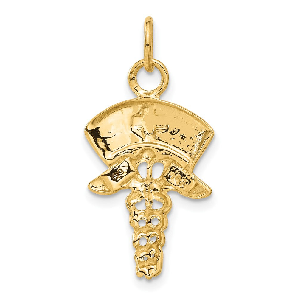 Alternate view of the 14k Yellow Gold Nurses Cap and Caduceus Charm Pendant by The Black Bow Jewelry Co.