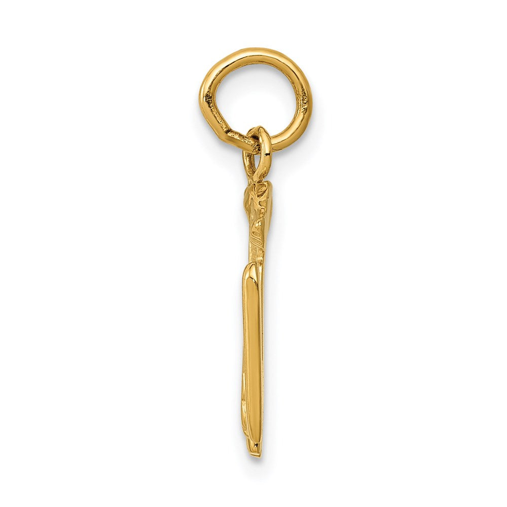 Alternate view of the 14k Yellow Gold Registered Nurse Charm by The Black Bow Jewelry Co.