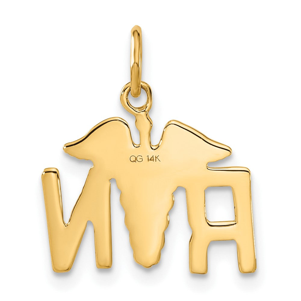 Alternate view of the 14k Yellow Gold Registered Nurse Charm by The Black Bow Jewelry Co.