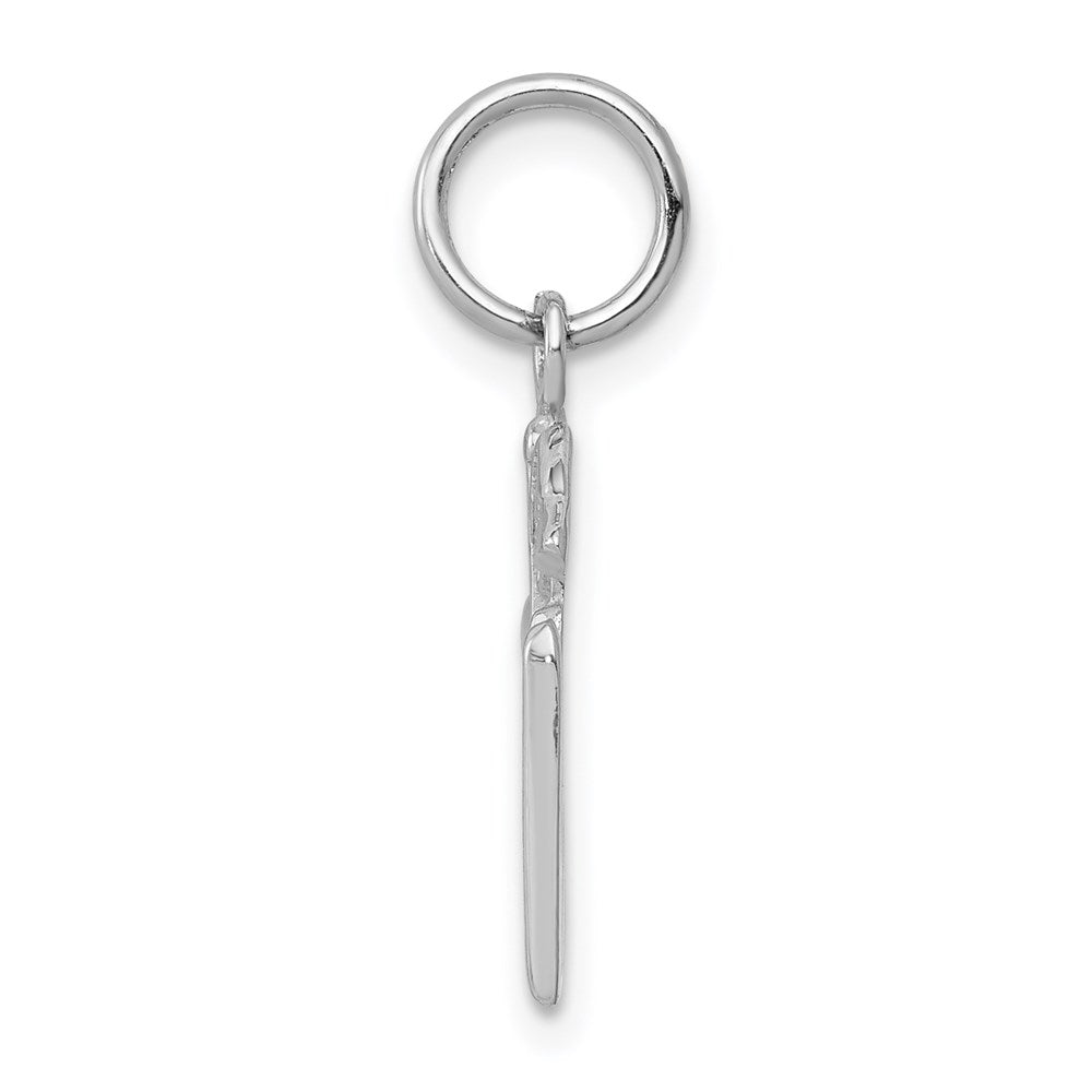 Alternate view of the 14k White Gold Registered Nurse Charm/ Pendant by The Black Bow Jewelry Co.