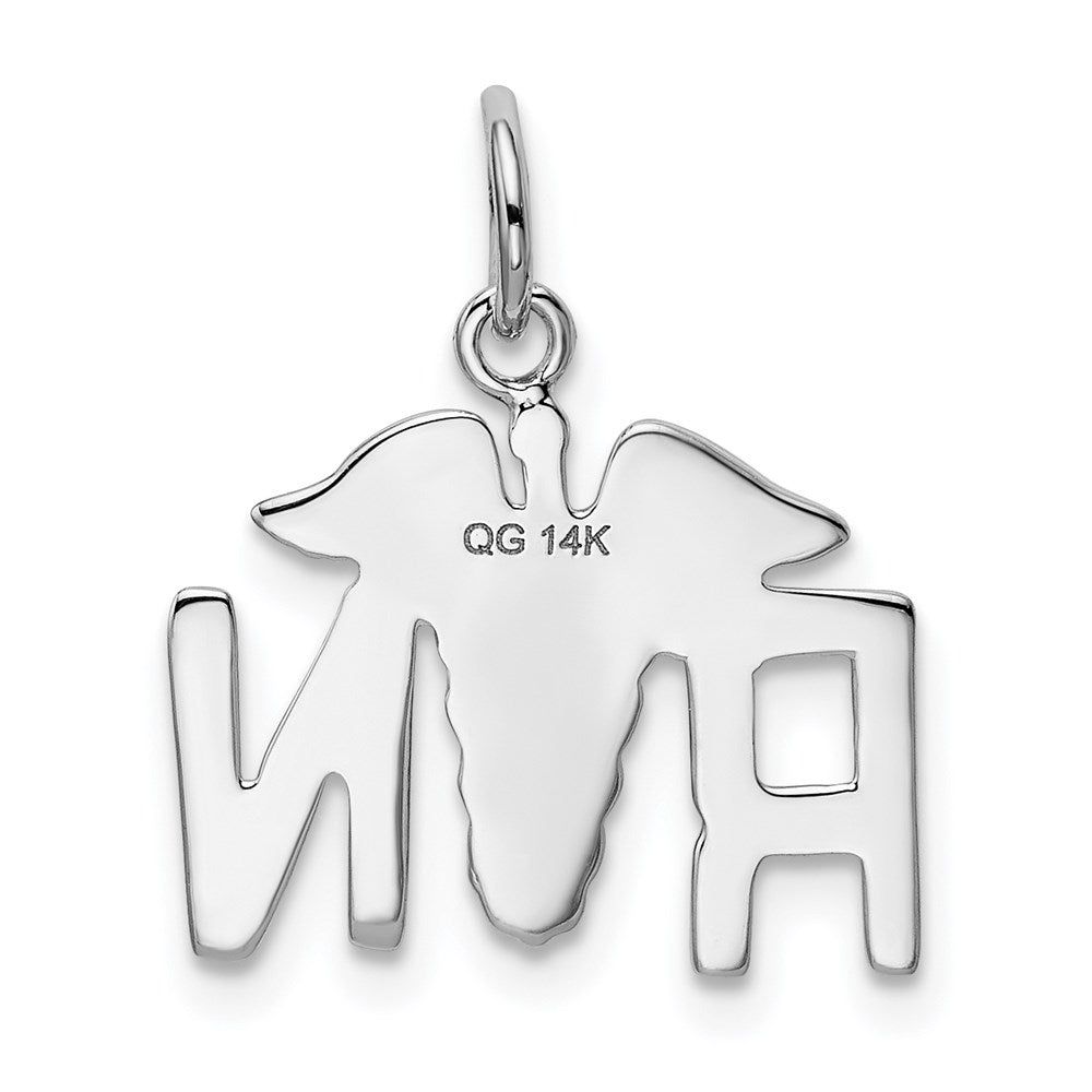 Alternate view of the 14k White Gold Registered Nurse Charm/ Pendant by The Black Bow Jewelry Co.