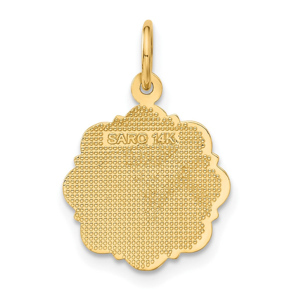 Alternate view of the 14k Yellow Gold Registered Nurse Disk Charm, 14mm by The Black Bow Jewelry Co.
