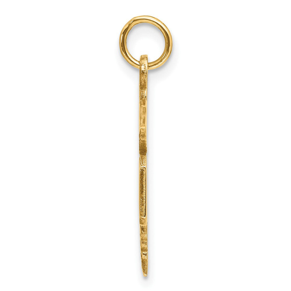 Alternate view of the 14k Yellow Gold Satin and Diamond Cut MD Caduceus Charm by The Black Bow Jewelry Co.