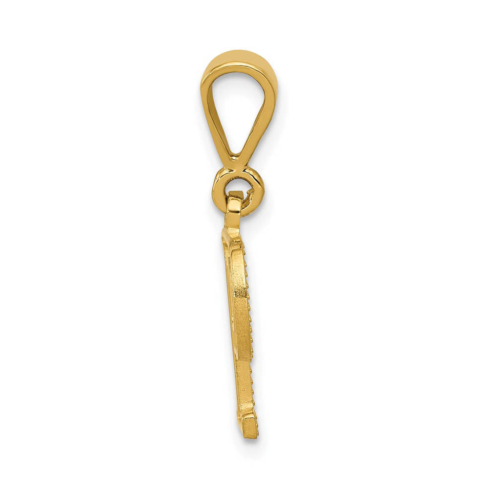 Alternate view of the 14k Yellow Gold, Ashley Collection, Textured Initial P Pendant by The Black Bow Jewelry Co.