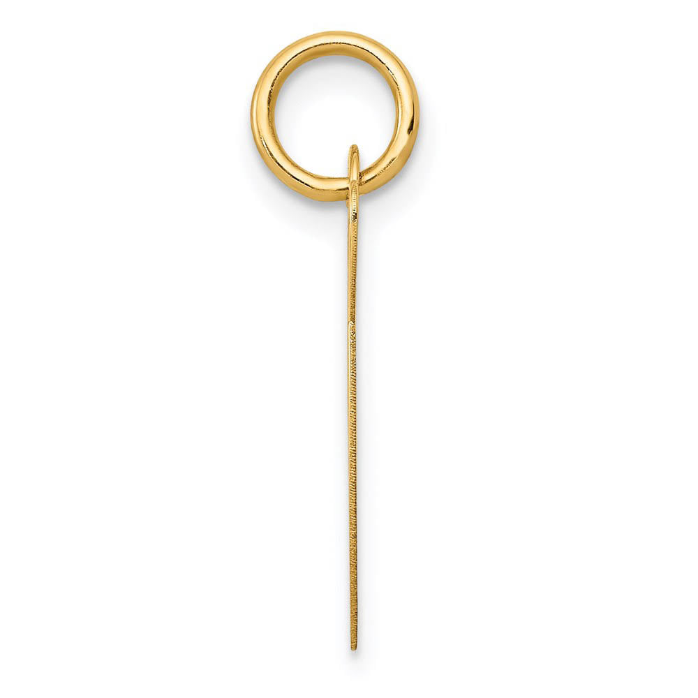 Alternate view of the 14k Yellow Gold, Ella Collection Medium Fancy Script Initial G Pendant by The Black Bow Jewelry Co.