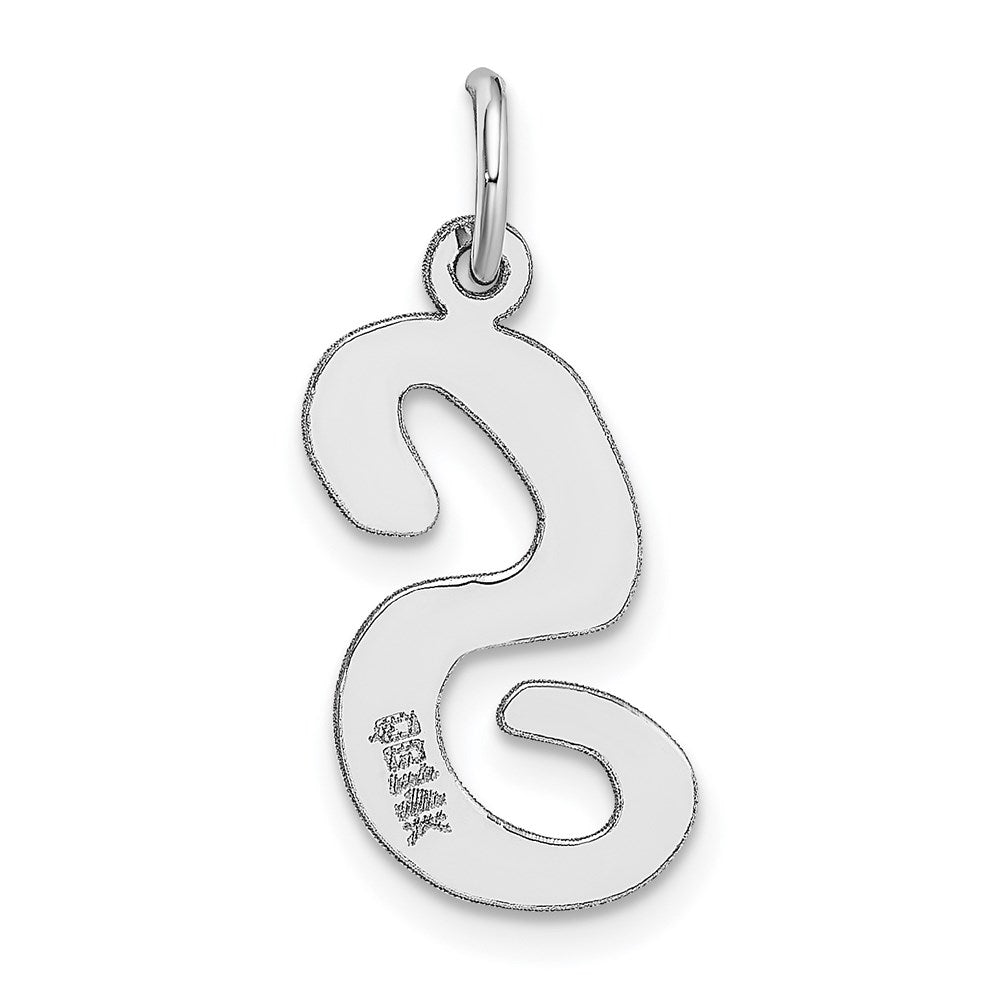 Alternate view of the 14k White Gold, Madison Collection LG Classic Script Initial S Pendant by The Black Bow Jewelry Co.