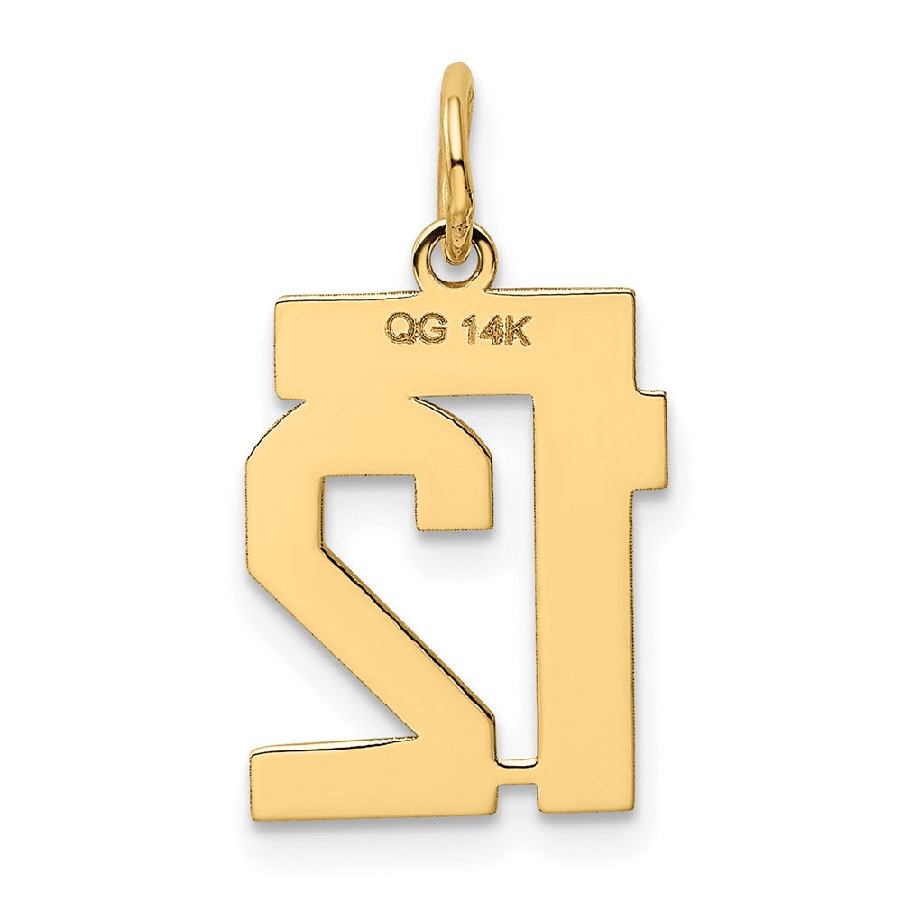 Alternate view of the 14k Yellow Gold, Athletic Collection, Small Polished Number 12 Pendant by The Black Bow Jewelry Co.