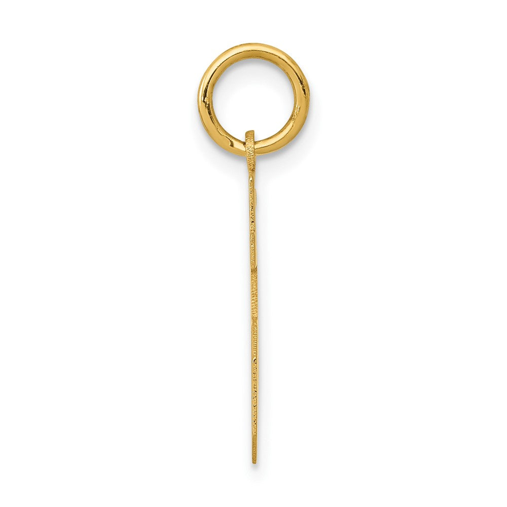 Alternate view of the 14k Yellow Gold, Athletic Collection, Small Polished Number 15 Pendant by The Black Bow Jewelry Co.