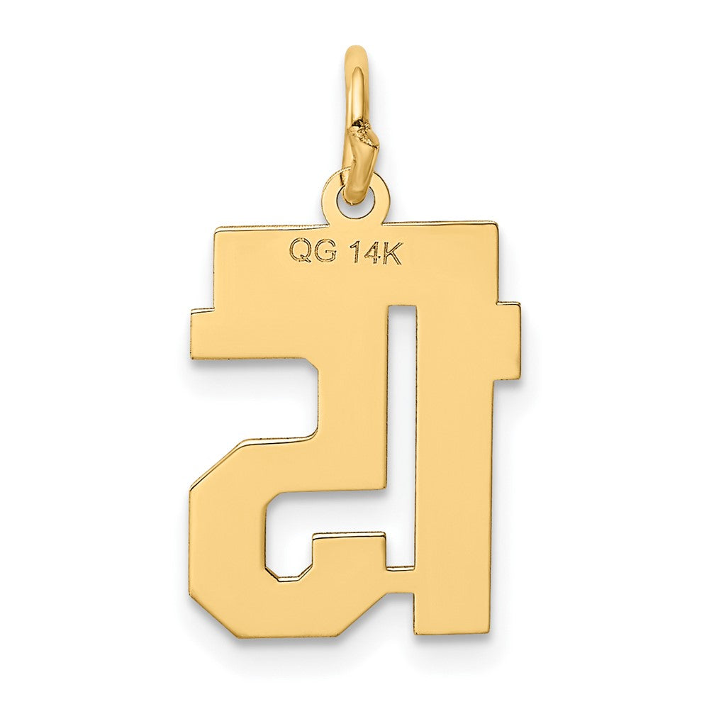 Alternate view of the 14k Yellow Gold, Athletic Collection, Small Polished Number 15 Pendant by The Black Bow Jewelry Co.