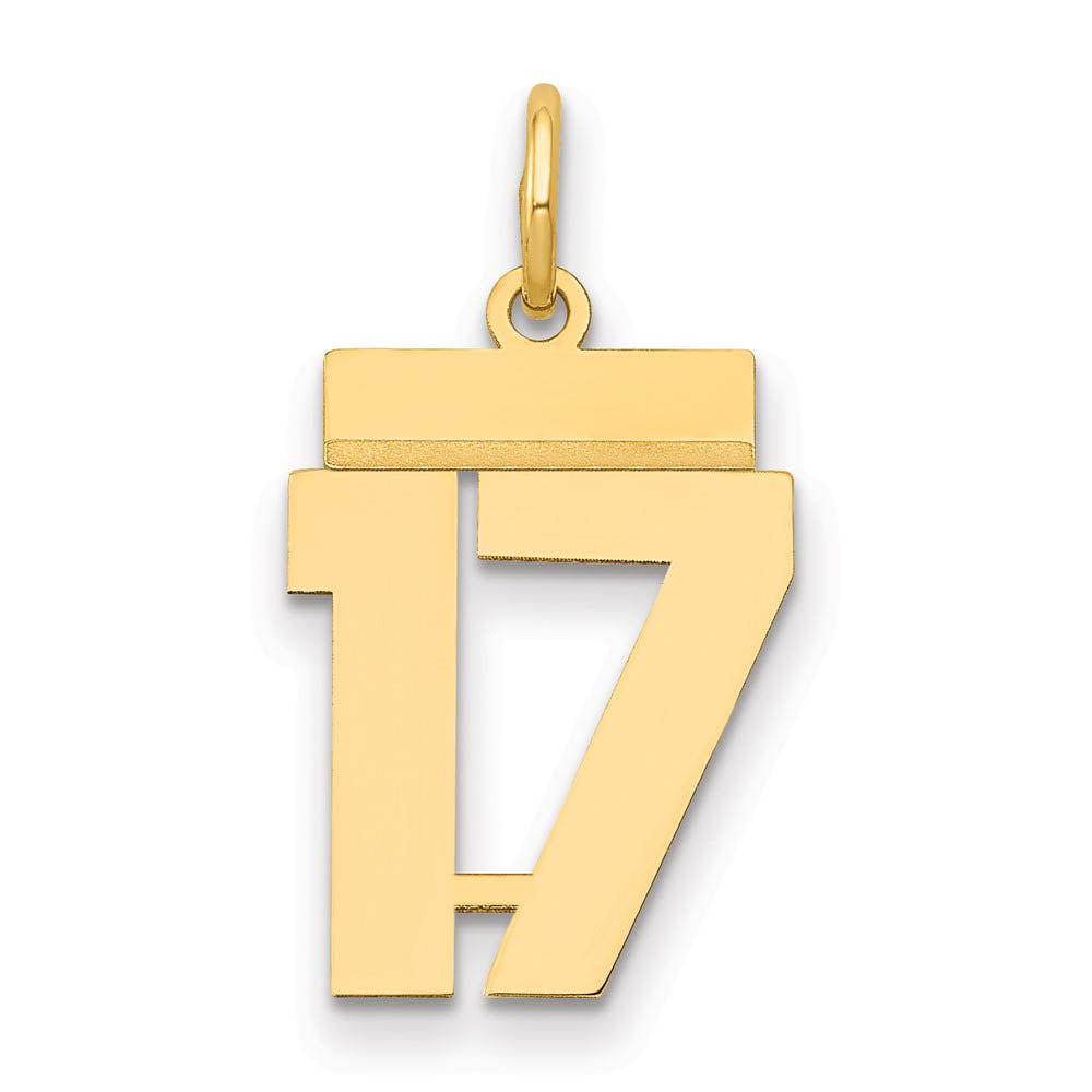 14k Yellow Gold, Athletic Collection, Small Polished Number 17 Pendant, Item P10390-17 by The Black Bow Jewelry Co.