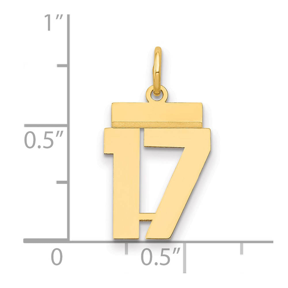 Alternate view of the 14k Yellow Gold, Athletic Collection, Small Polished Number 17 Pendant by The Black Bow Jewelry Co.