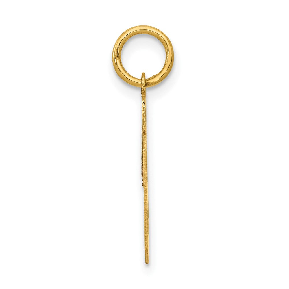 Alternate view of the 14k Yellow Gold, Athletic Collection, Small Polished Number 19 Pendant by The Black Bow Jewelry Co.
