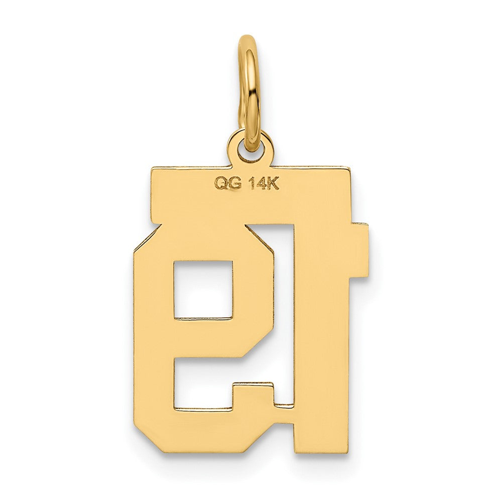 Alternate view of the 14k Yellow Gold, Athletic Collection, Small Polished Number 19 Pendant by The Black Bow Jewelry Co.