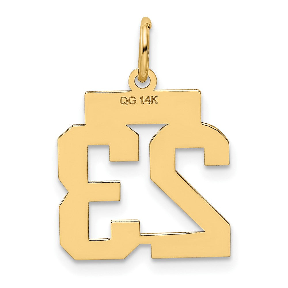 Alternate view of the 14k Yellow Gold, Athletic Collection, Small Polished Number 23 Pendant by The Black Bow Jewelry Co.