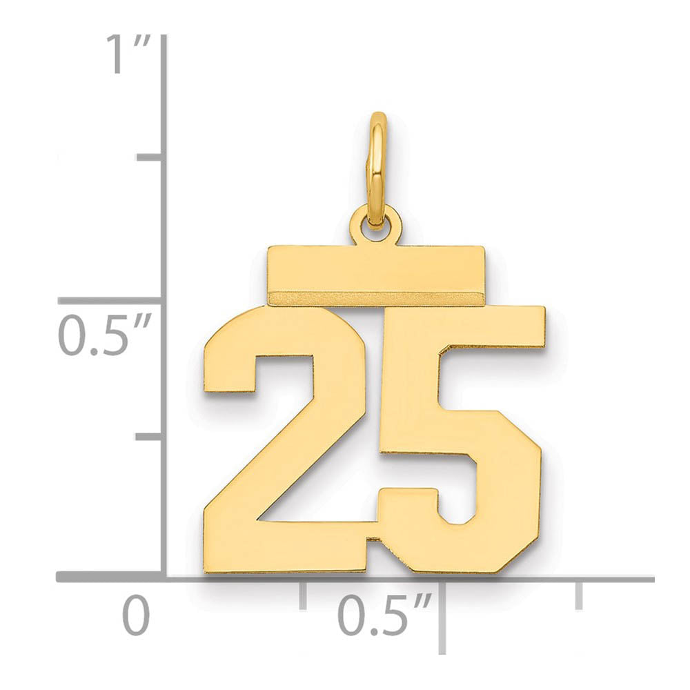 Alternate view of the 14k Yellow Gold, Athletic Collection, Small Polished Number 25 Pendant by The Black Bow Jewelry Co.