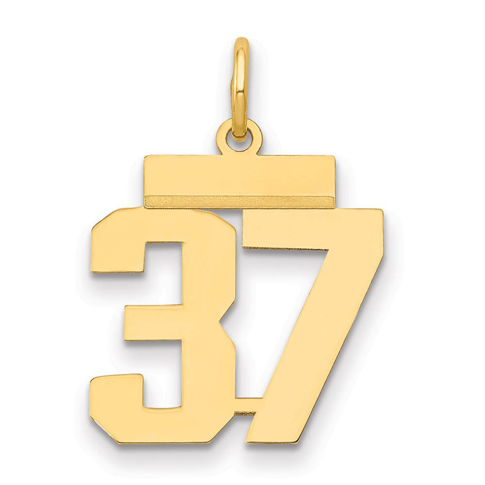 14k Yellow Gold, Athletic Collection, Small Polished Number 37 Pendant, Item P10390-37 by The Black Bow Jewelry Co.