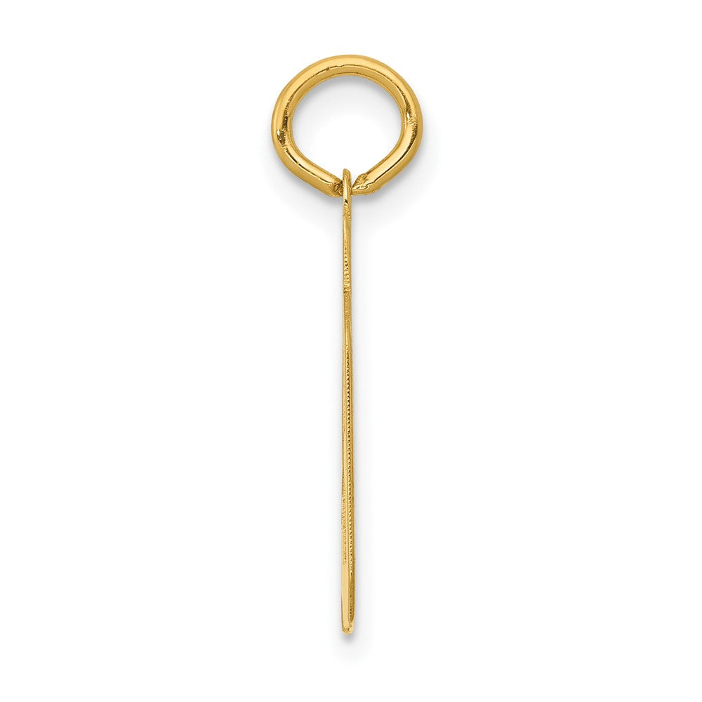 Alternate view of the 14k Yellow Gold, Athletic Collection, Small Polished Number 39 Pendant by The Black Bow Jewelry Co.