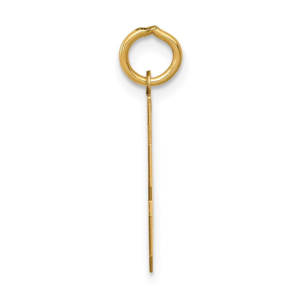 Alternate view of the 14k Yellow Gold, Athletic Collection, Small Polished Number 43 Pendant by The Black Bow Jewelry Co.