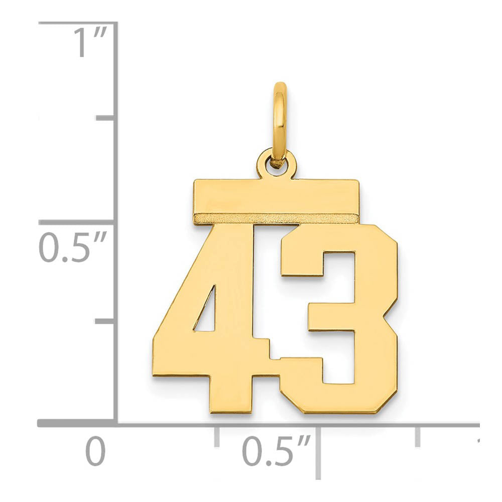 Alternate view of the 14k Yellow Gold, Athletic Collection, Small Polished Number 43 Pendant by The Black Bow Jewelry Co.