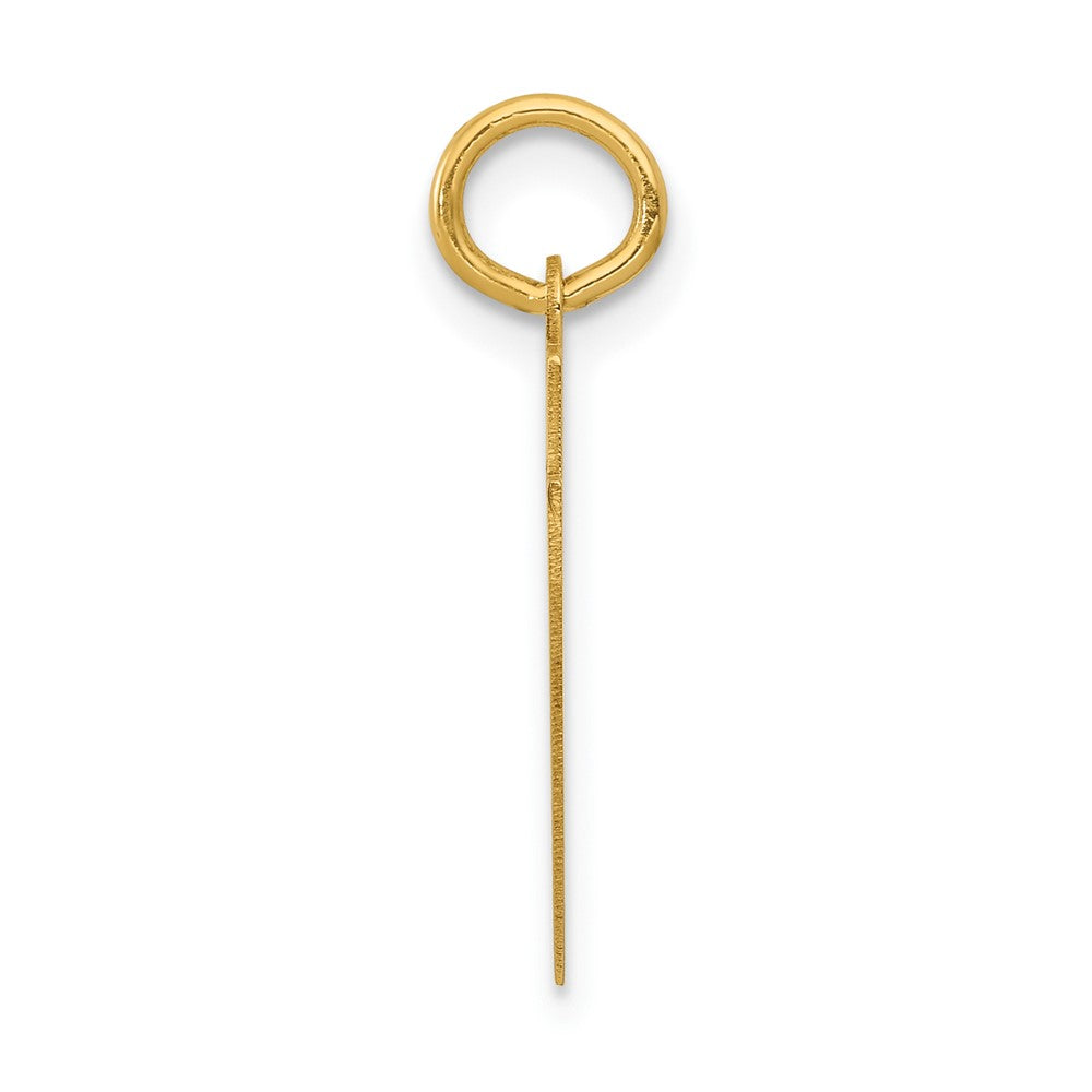 Alternate view of the 14k Yellow Gold, Athletic Collection, Small Polished Number 47 Pendant by The Black Bow Jewelry Co.