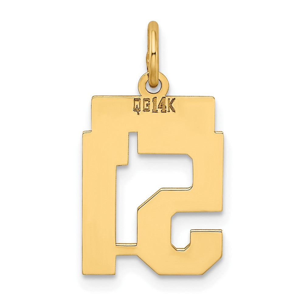 Alternate view of the 14k Yellow Gold, Athletic Collection, Small Polished Number 51 Pendant by The Black Bow Jewelry Co.