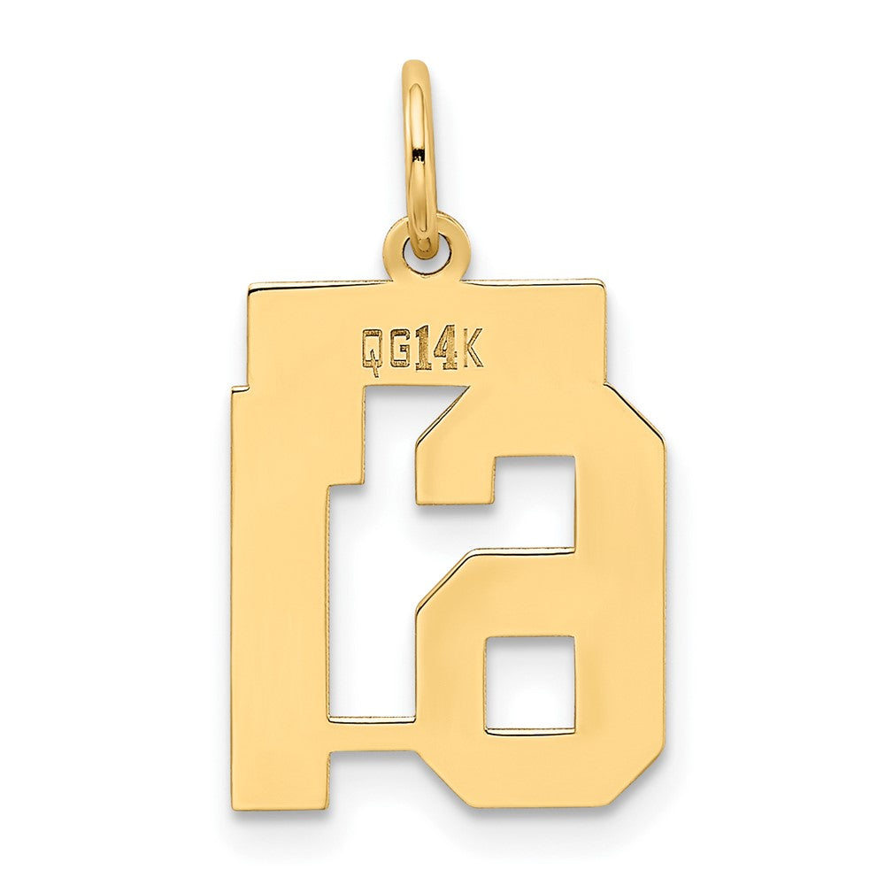 Alternate view of the 14k Yellow Gold, Athletic Collection, Small Polished Number 61 Pendant by The Black Bow Jewelry Co.