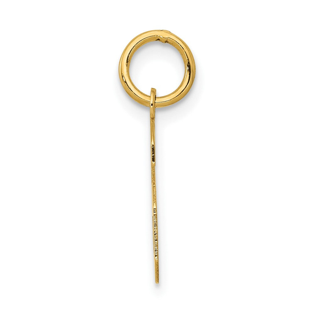 Alternate view of the 14k Yellow Gold, Athletic Collection, Small Polished Number 6 Pendant by The Black Bow Jewelry Co.