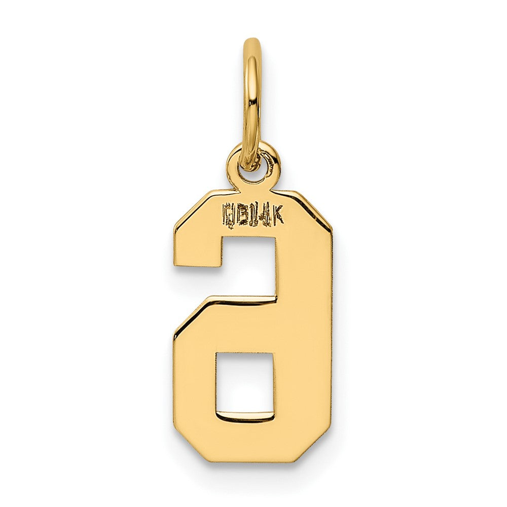 Alternate view of the 14k Yellow Gold, Athletic Collection, Small Polished Number 6 Pendant by The Black Bow Jewelry Co.