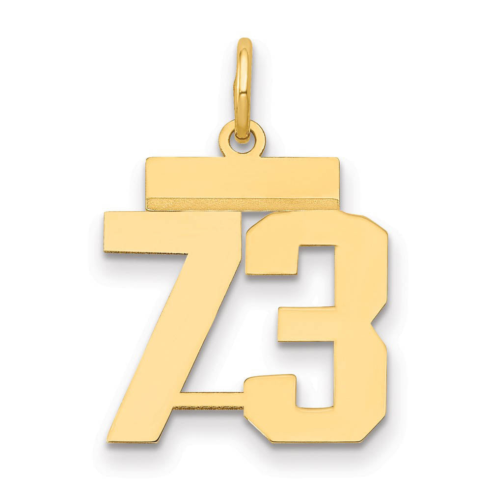 14k Yellow Gold, Athletic Collection, Small Polished Number 73 Pendant, Item P10390-73 by The Black Bow Jewelry Co.