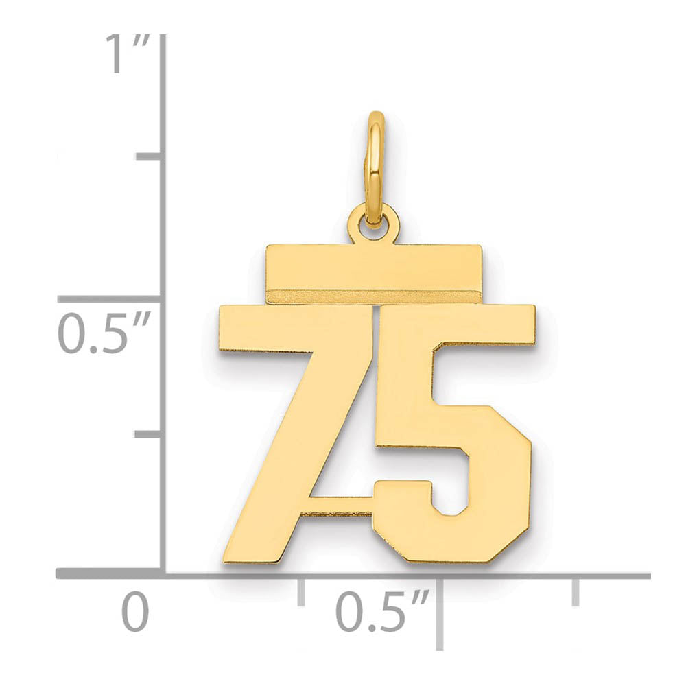 Alternate view of the 14k Yellow Gold, Athletic Collection, Small Polished Number 75 Pendant by The Black Bow Jewelry Co.