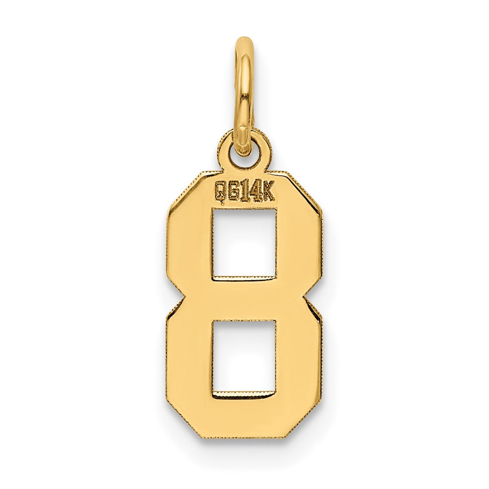 Alternate view of the 14k Yellow Gold, Athletic Collection, Small Polished Number 8 Pendant by The Black Bow Jewelry Co.