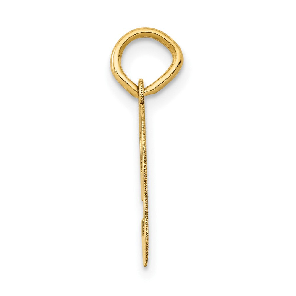 Alternate view of the 14k Yellow Gold, Athletic Collection, Small Polished Number 9 Pendant by The Black Bow Jewelry Co.