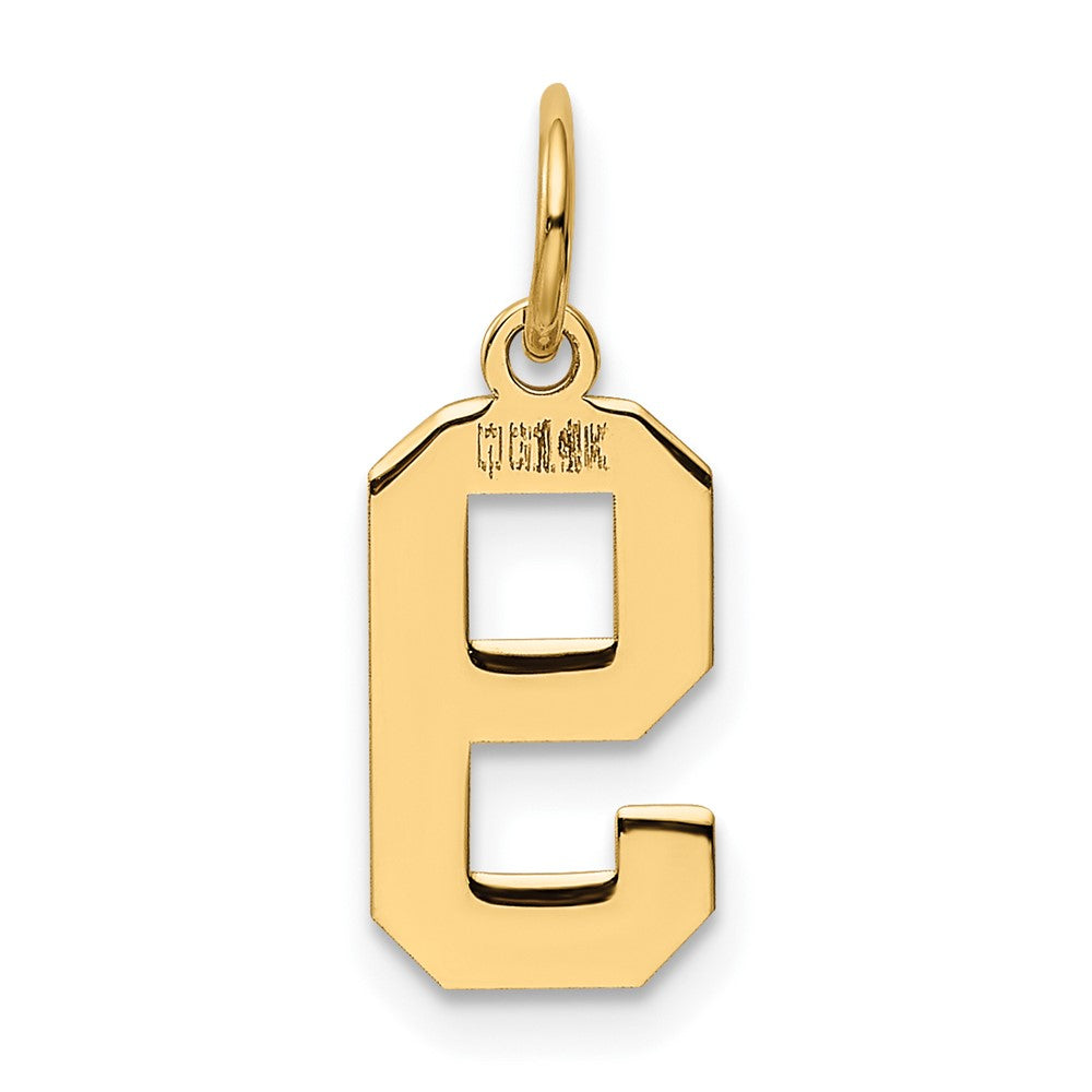 Alternate view of the 14k Yellow Gold, Athletic Collection, Small Polished Number 9 Pendant by The Black Bow Jewelry Co.