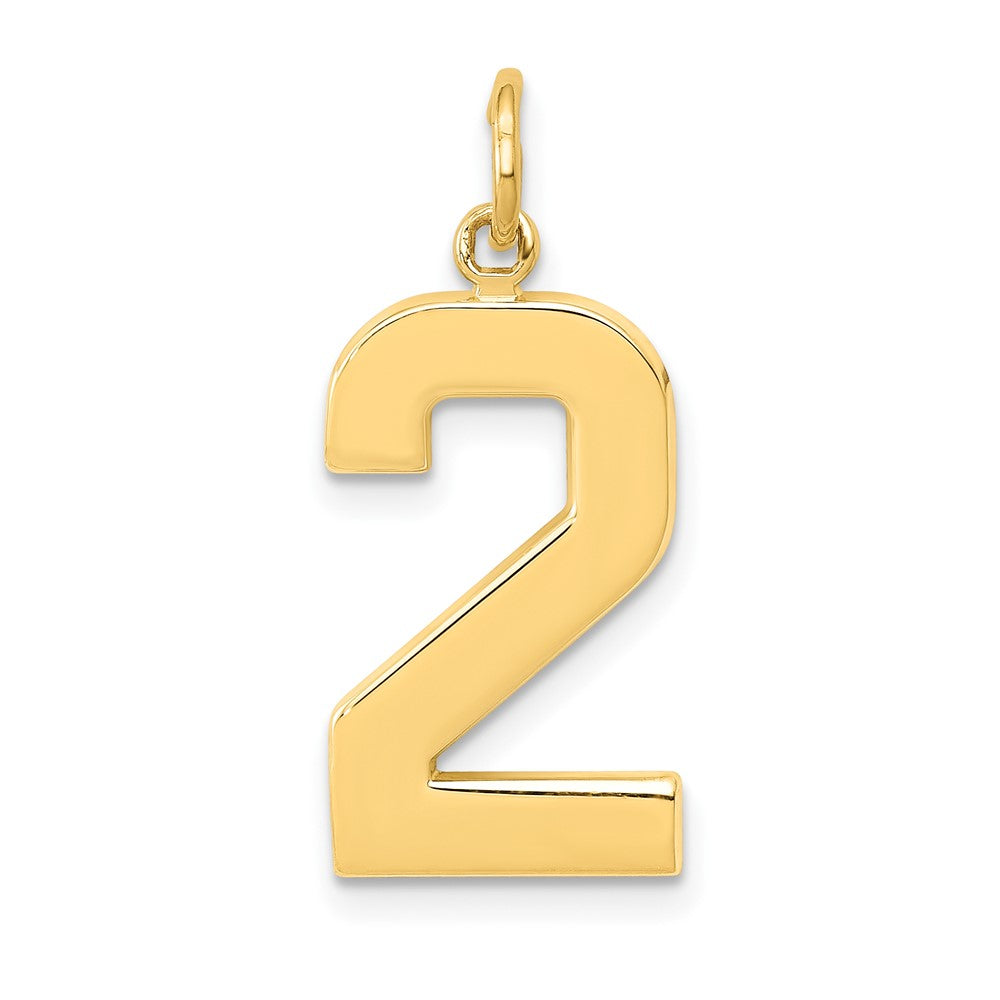 14k Yellow Gold, Athletic Collection, Large Polished Number 2 Pendant, Item P10399-2 by The Black Bow Jewelry Co.