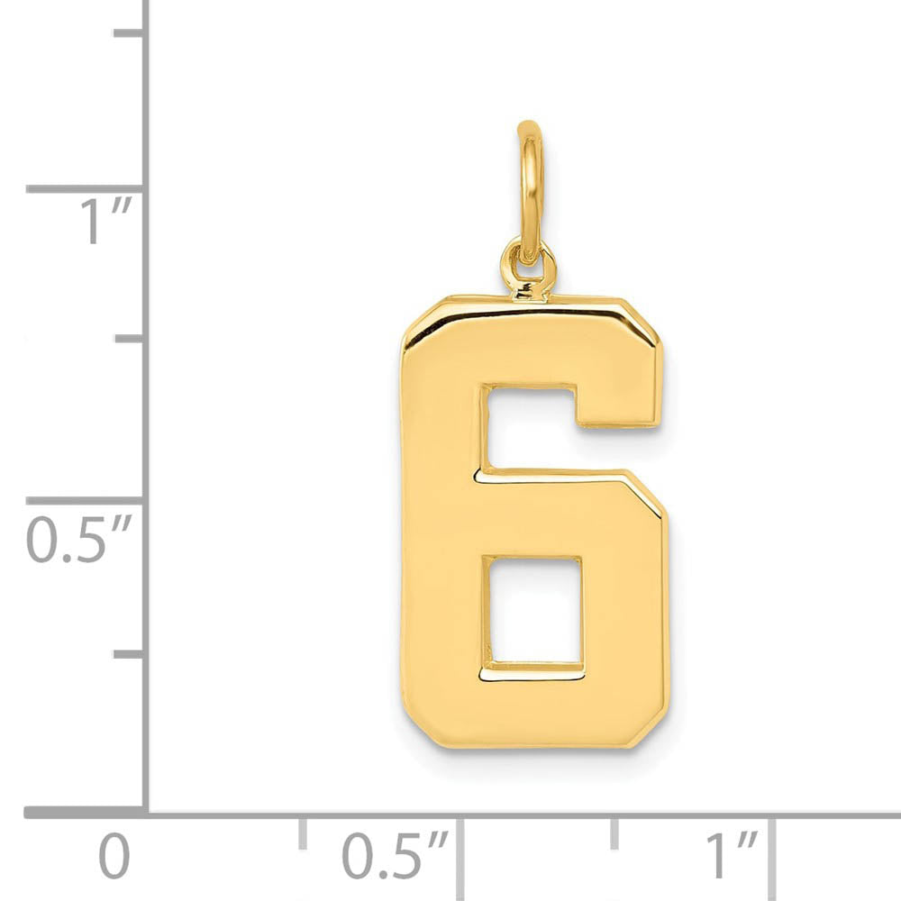 Alternate view of the 14k Yellow Gold, Athletic Collection, Large Polished Number 6 Pendant by The Black Bow Jewelry Co.