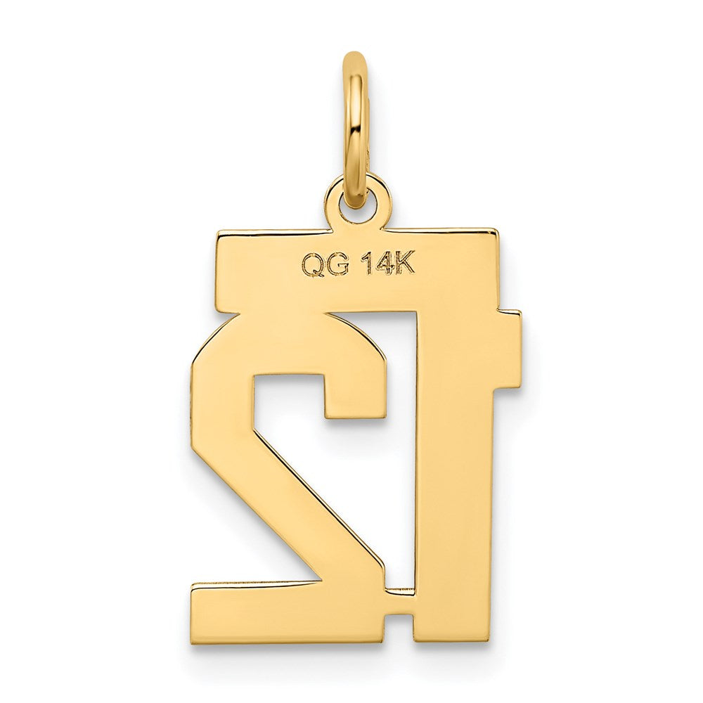 Alternate view of the 14k Yellow Gold, Jersey Collection, Small Number 12 Pendant by The Black Bow Jewelry Co.