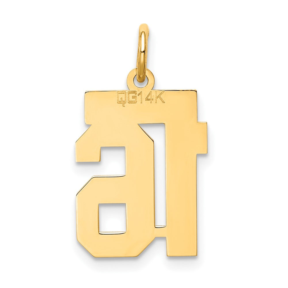 Alternate view of the 14k Yellow Gold, Jersey Collection, Small Number 16 Pendant by The Black Bow Jewelry Co.