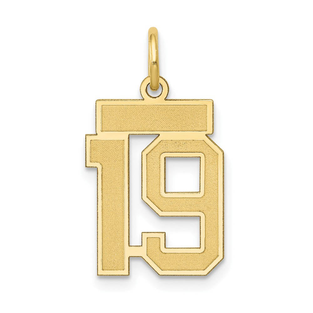 14k Yellow Gold, Jersey Collection, Small Number 19 Pendant, Item P10400-19 by The Black Bow Jewelry Co.