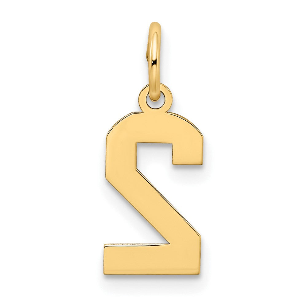 Alternate view of the 14k Yellow Gold, Jersey Collection, Small Number 2 Pendant by The Black Bow Jewelry Co.
