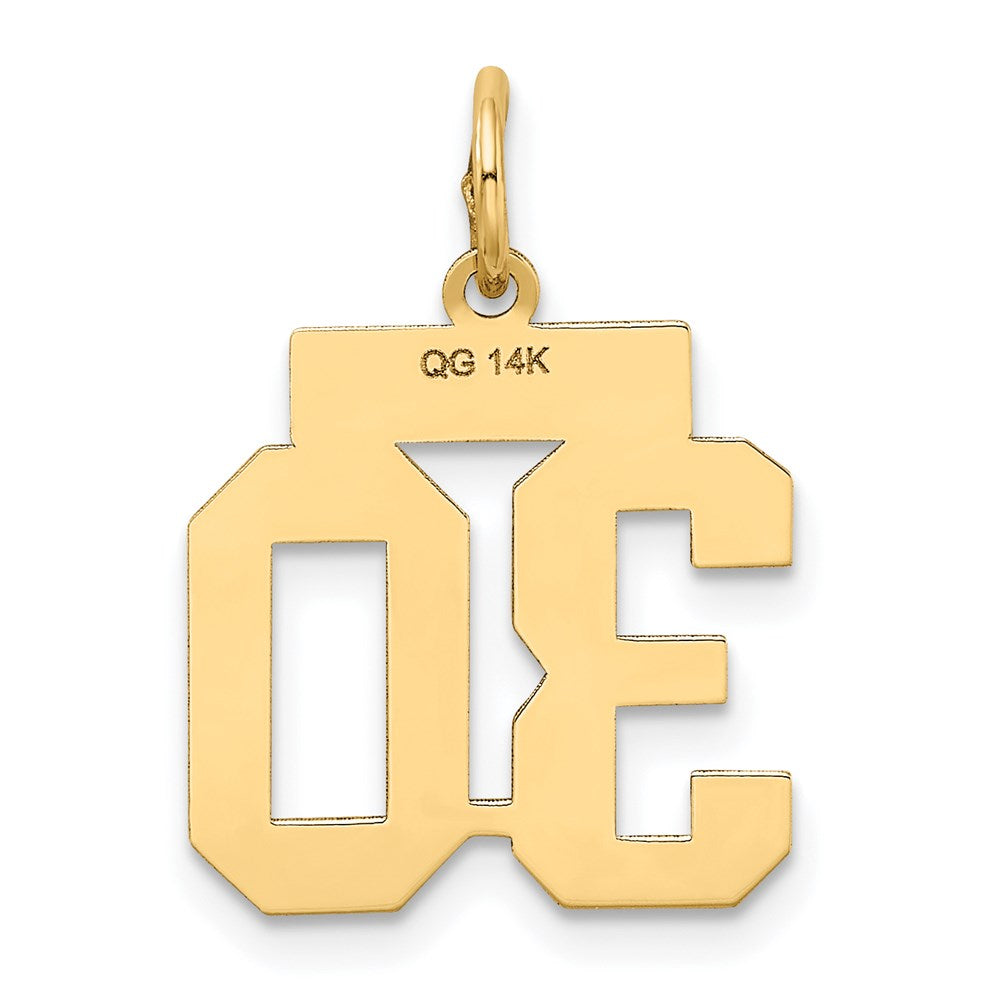 Alternate view of the 14k Yellow Gold, Jersey Collection, Small Number 30 Pendant by The Black Bow Jewelry Co.