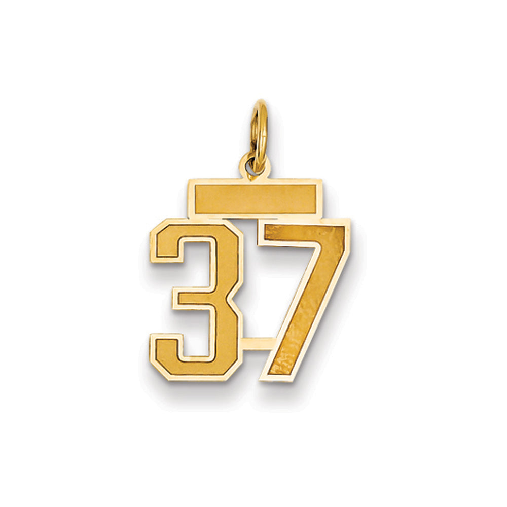 14k Yellow Gold, Jersey Collection, Small Number 37 Pendant, Item P10400-37 by The Black Bow Jewelry Co.