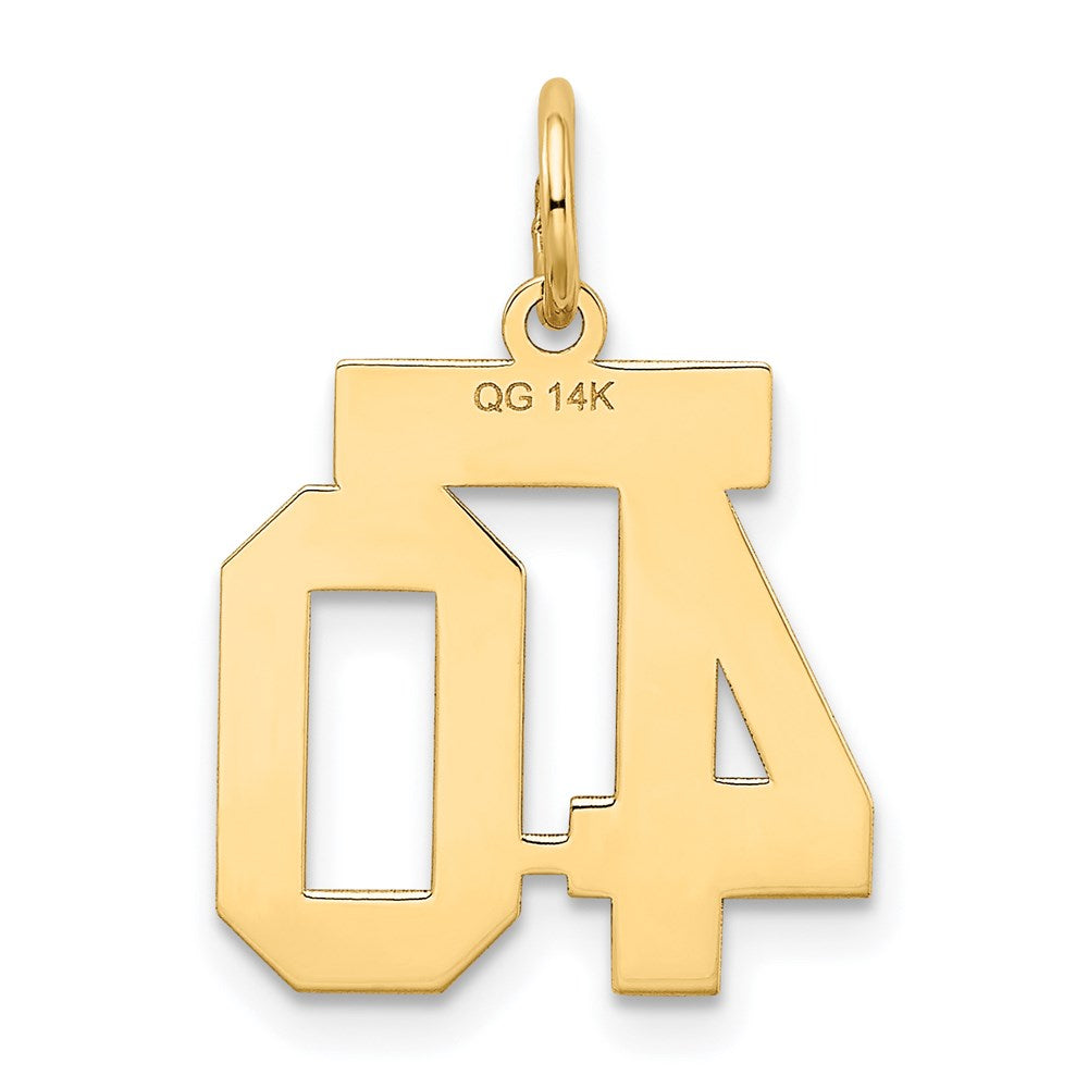 Alternate view of the 14k Yellow Gold, Jersey Collection, Small Number 40 Pendant by The Black Bow Jewelry Co.